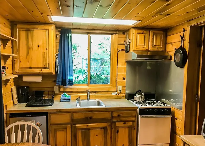 Cove Cabin Retreat