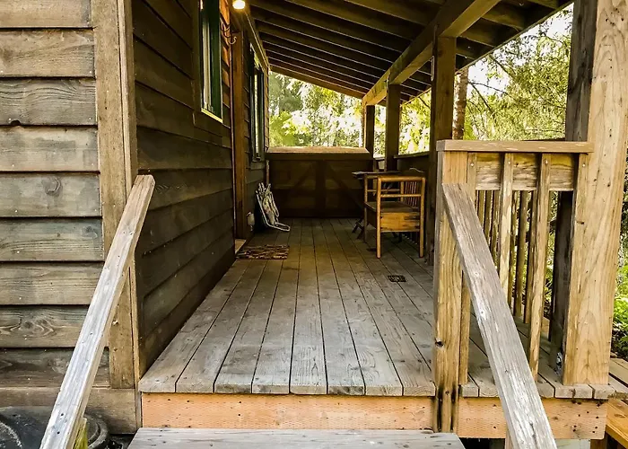 Cove Cabin Retreat