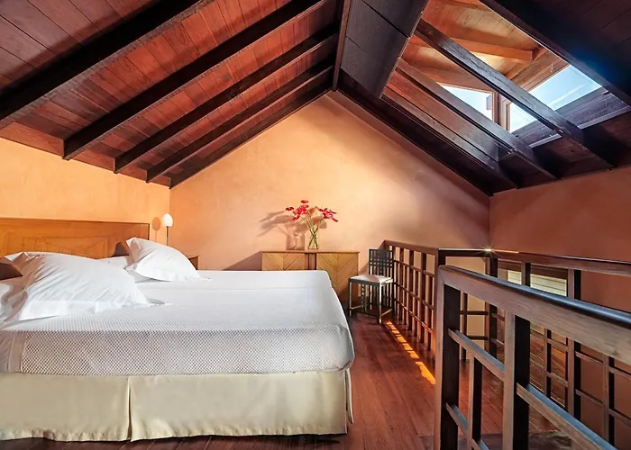 Hotel San Roque