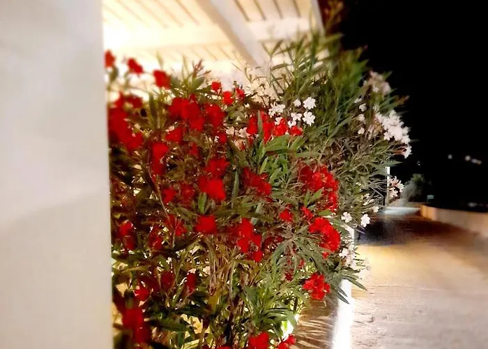 Maroulis Studios
