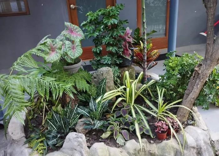 The Hub District Garden Suites