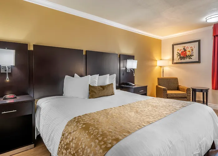 Best Western Plus South Bay Hotel