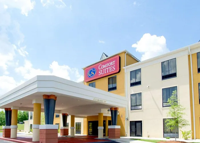 Comfort Suites Airport South