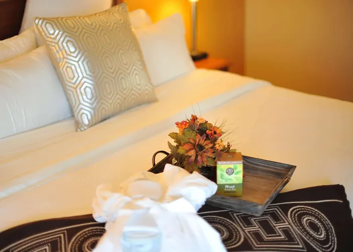 Hotel Xola Trademark Collection By Wyndham