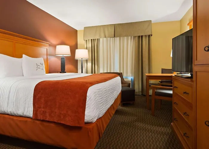 Best Western Plus Deer Park Hotel And Suites