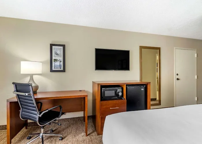 Comfort Inn & Suites St Pete - Clearwater International Airport