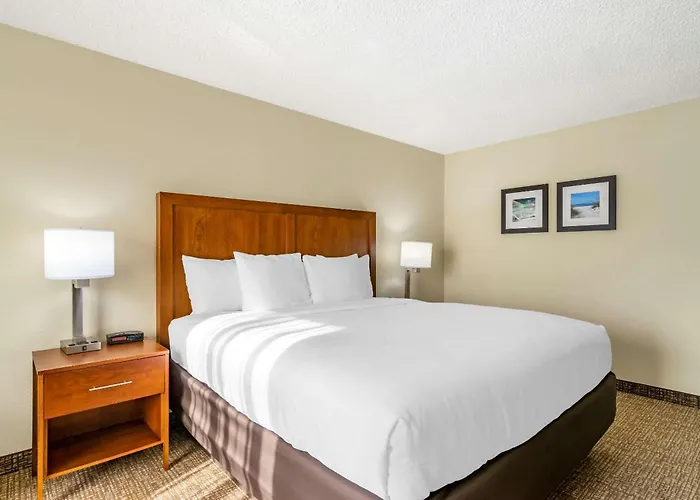 Comfort Inn & Suites St Pete - Clearwater International Airport