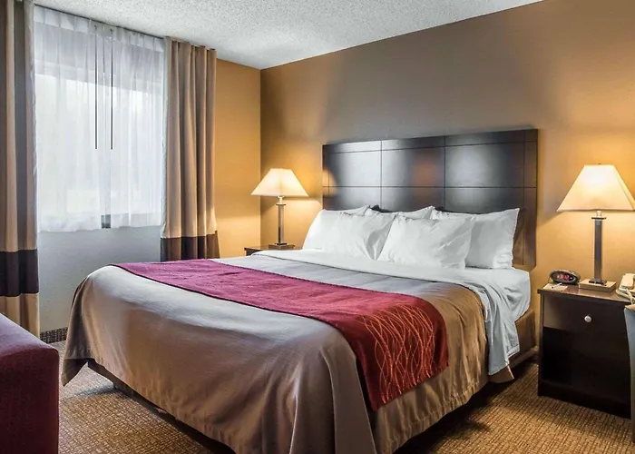 Comfort Inn Saugerties