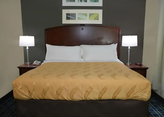 Quality Inn & Suites Dublin