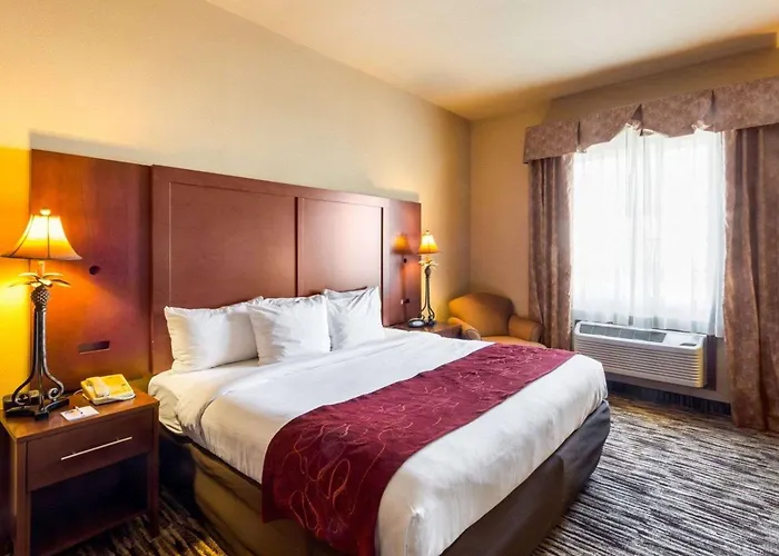 Comfort Suites Mcallen Airport And La Plaza Mall