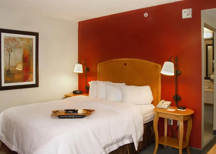 Spark By Hilton Cedar City