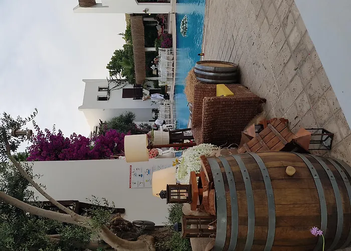 Ece "Vegan"Hotel Bodrum