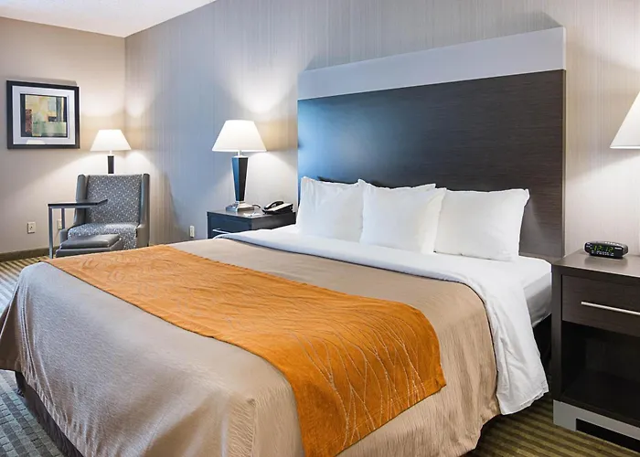 Comfort Inn Camden