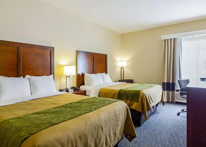 Comfort Inn Woodstock Shenandoah