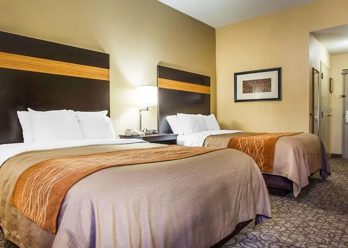 Comfort Inn & Suites At Stone Mountain