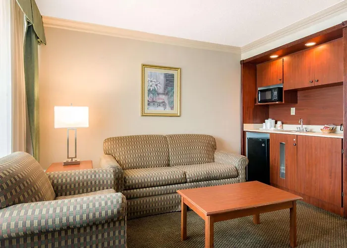 Quality Inn & Suites Tarpon Springs South