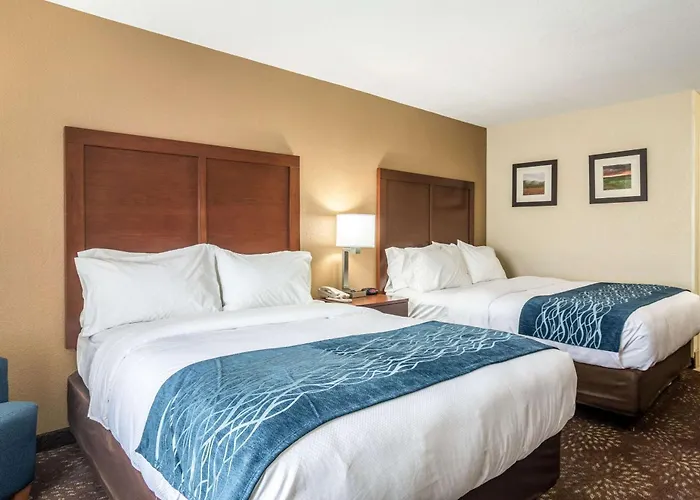 Comfort Inn & Suites - Hannibal