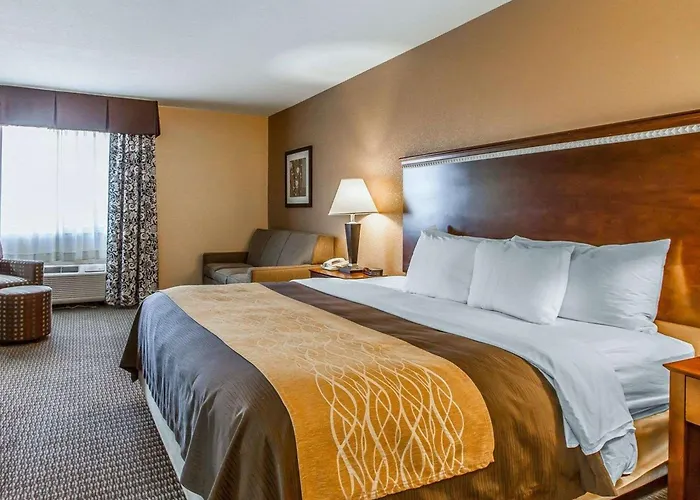 Quality Inn & Suites Mount Pleasant