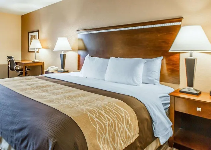 Quality Inn & Suites Mount Pleasant