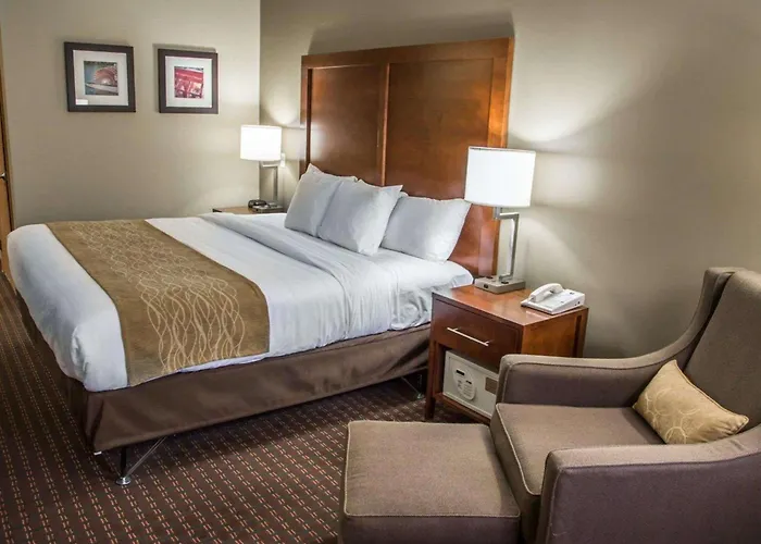 Comfort Inn & Suites Riverview Near Davenport And I-80
