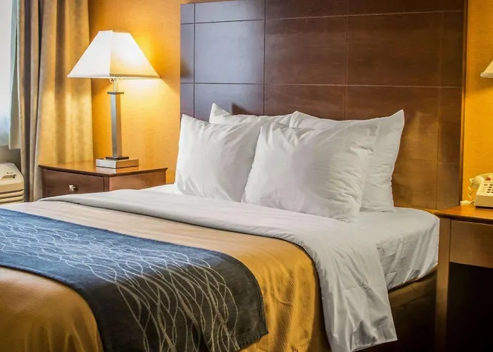 Quality Inn & Suites Port Huron