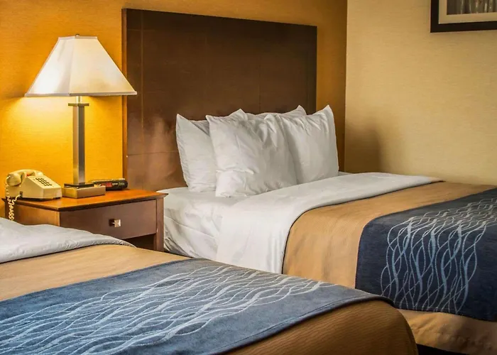 Quality Inn & Suites Port Huron