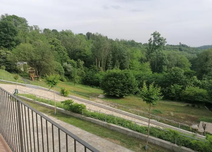 Il Ciliegio Di Zoe