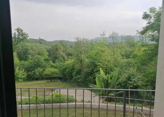 Il Ciliegio Di Zoe