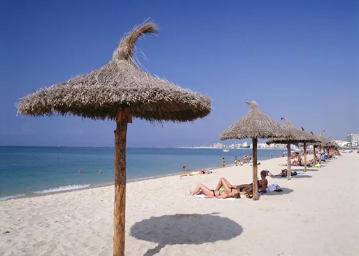 Hsm Reina Del Mar