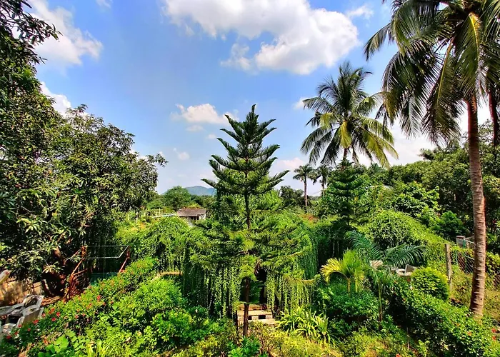 Anil Farms Gir Jungle Resort