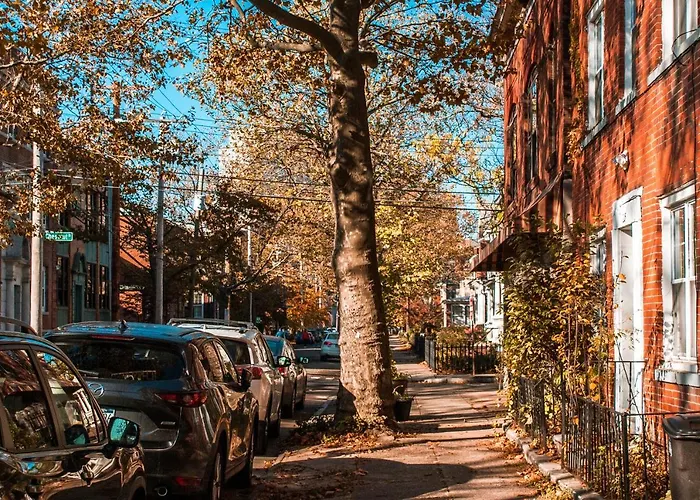 Gorgeous 1Br Wooster Sq. Apt. - Wshr/Dryr, Parking