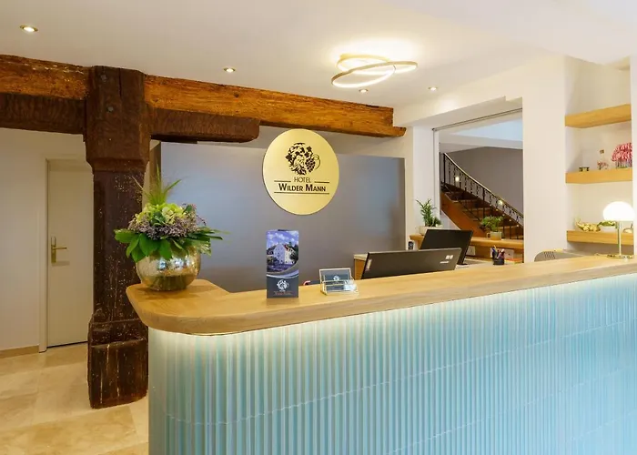 Hotel Wilder Mann