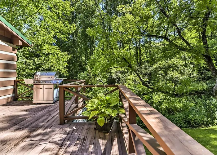 Black Mountain Cabin W/ Screened Porch + Views!