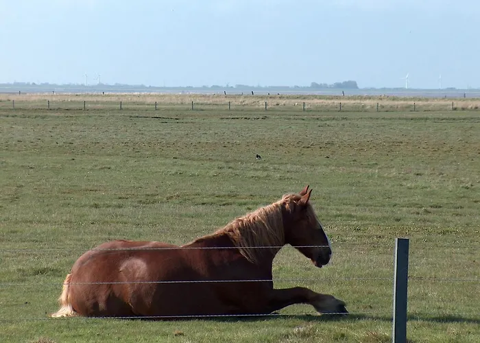 Seevilla Wietjes Whg 3