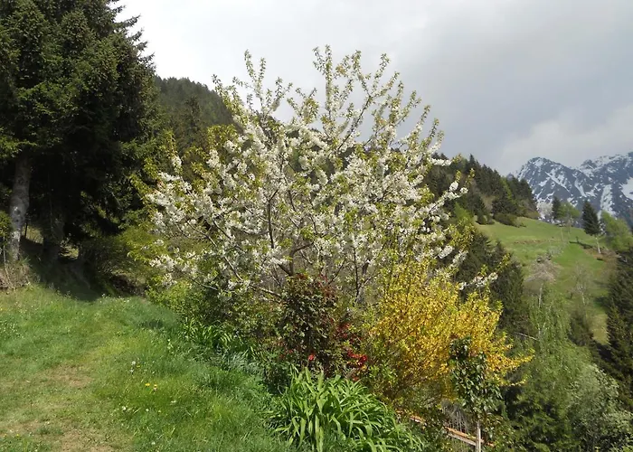 Pixnerhof Urlaub auf dem Bauernhof