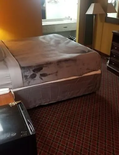 Hotel 2 Queen Beds Hotel Room 239 Booking