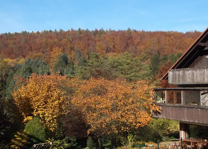 Berggarten Schwalenberg