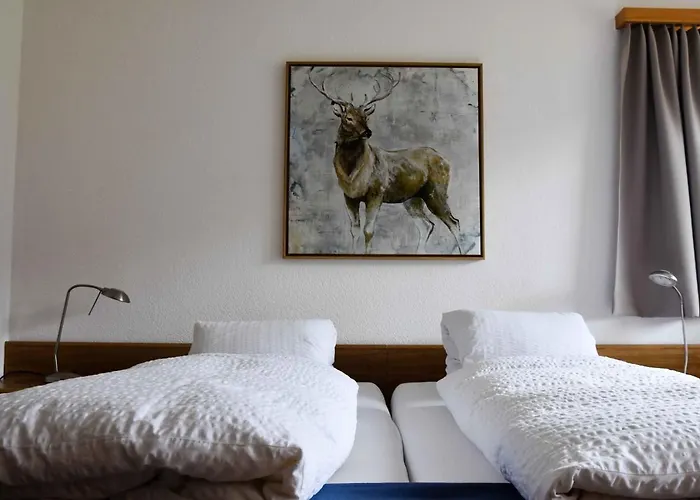 Hotel Pazzola