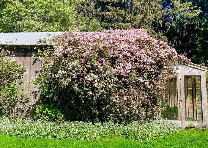 Seawoods Cottage
