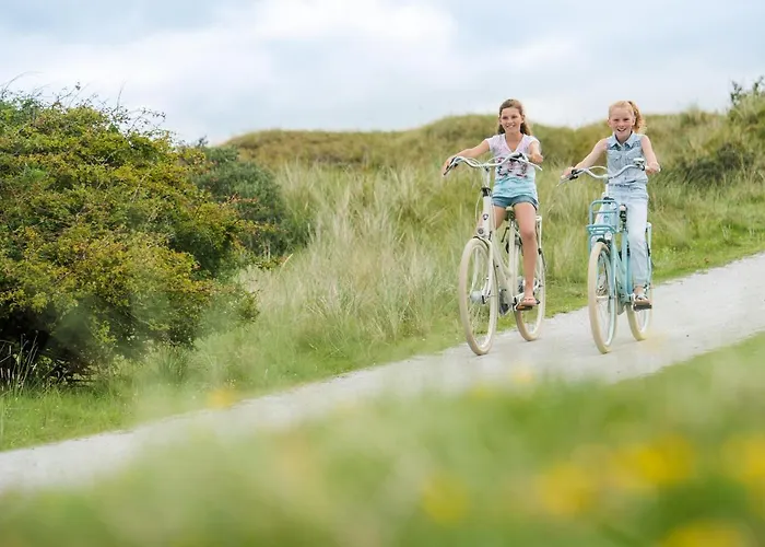 Breeze Ameland