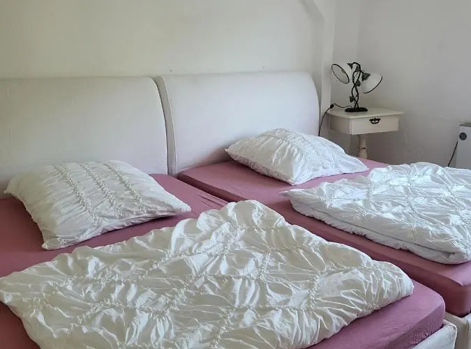 Ferienwohnung Elbblick
