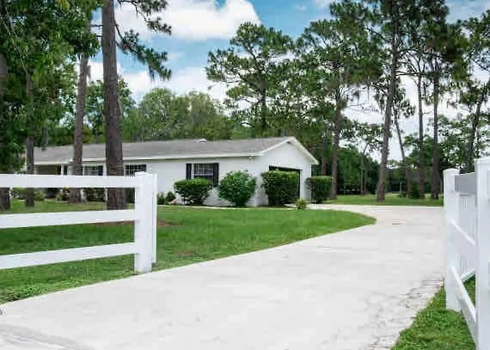 3Bdr2Bath Home In Lutz Close To Tampa, 20 Min To Stadium, Airport