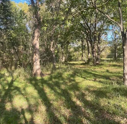 Cabin 2 - Steps From The River!