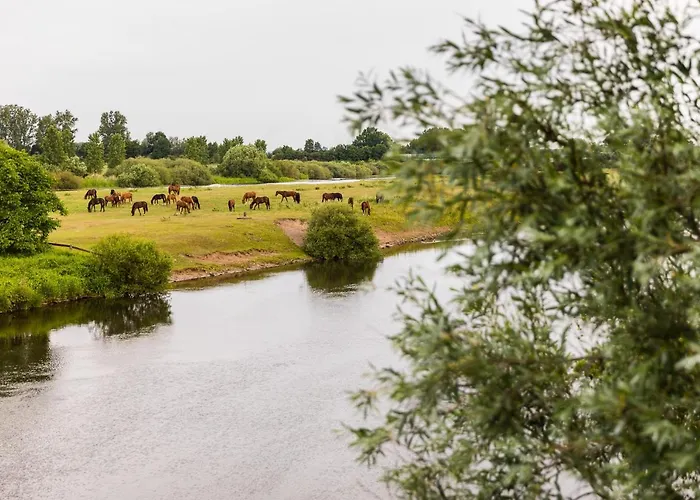 Thoeles*** Am Allerpark Verden