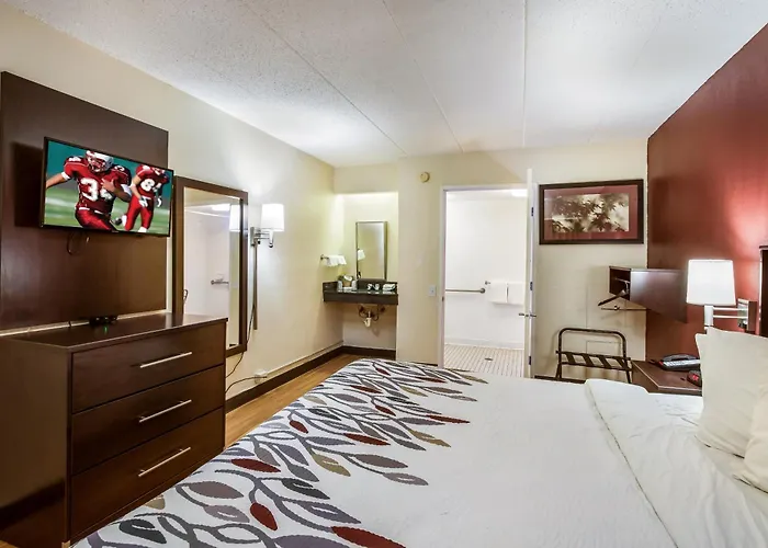 Red Roof Inn Saginaw - Frankenmuth