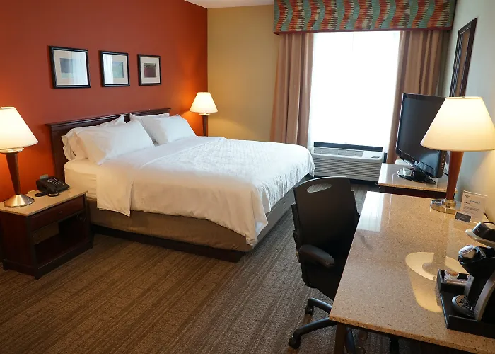 Holiday Inn Express Hotel & Suites Tampa-Oldsmar By Ihg