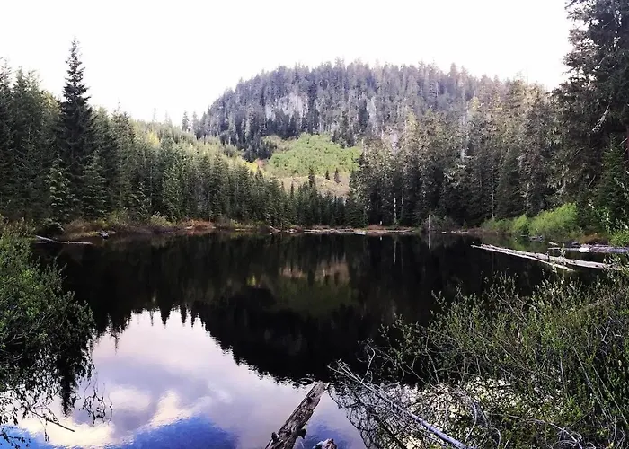 Mountain View Cabin, Hot Tub At White Pass Resort, Mt Rainier