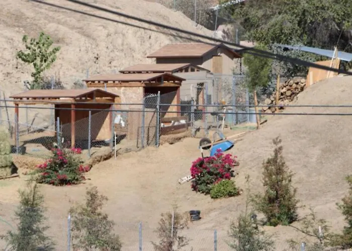Mountain View Studio
