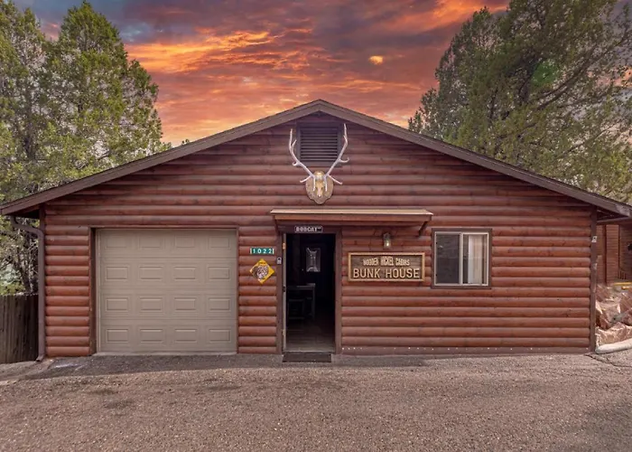 Cabin #6 Bobcat Bunkhouse - Pet Friendly - King Bed - Sleeps 4