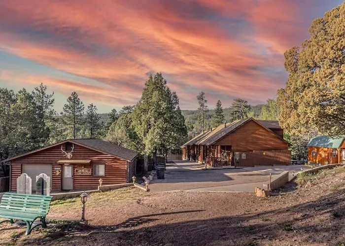 Cabin #6 Bobcat Bunkhouse - Pet Friendly - King Bed - Sleeps 4